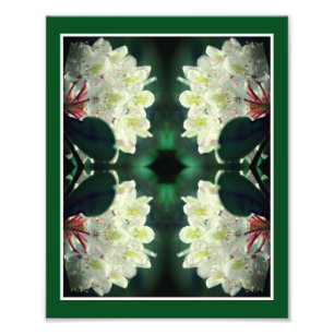 Weiße Azalea Blume mit Raindrops Abstrakt 8x10 Fotodruck