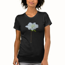 Weiße Azaleen-Single-Blume