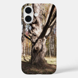 Weiße Bäume iPhone 16 Hülle