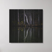 Weiße Bäume reflektieren den See