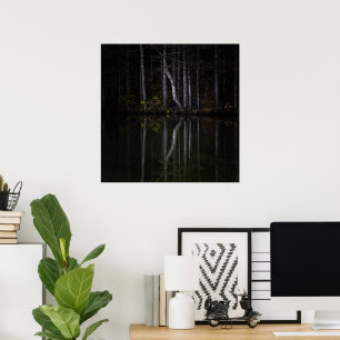 Weiße Bäume spiegeln sich im See Poster