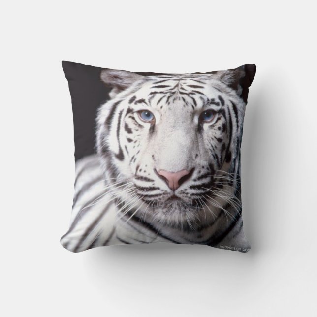Weiße bengalische Tiger-Fotografie Kissen (Vorderseite)