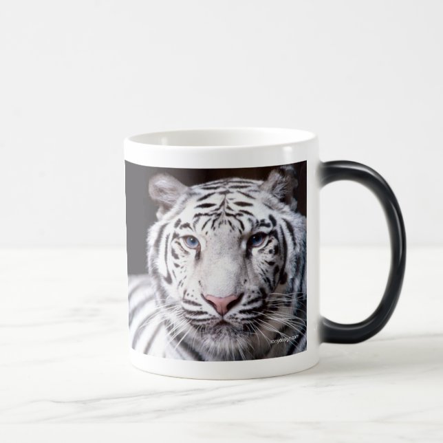 Weiße bengalische Tiger-Fotografie Verwandlungstasse (Rechts)
