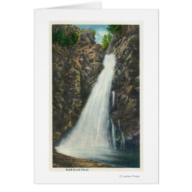 Weiße Berge Nat'l Forest (Vorne)