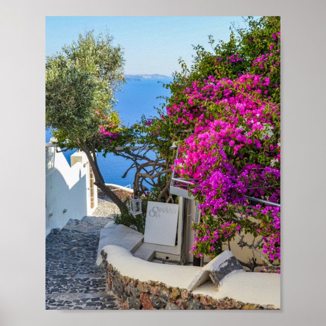 Weiße Beschriftung Neben Lila Bougainvillea Poster (Vorne)
