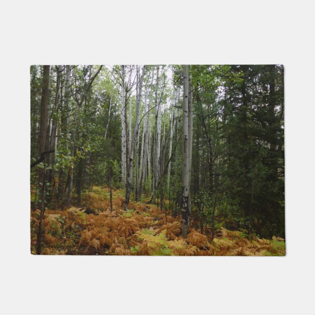Weiße Birkenbäume und Herbst-Fernen am Rocky Mount Fußmatte (Vorderseite)