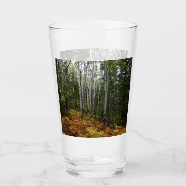 Weiße Birkenbäume und Herbst-Fernen am Rocky Mount Glas (Vorderseite)