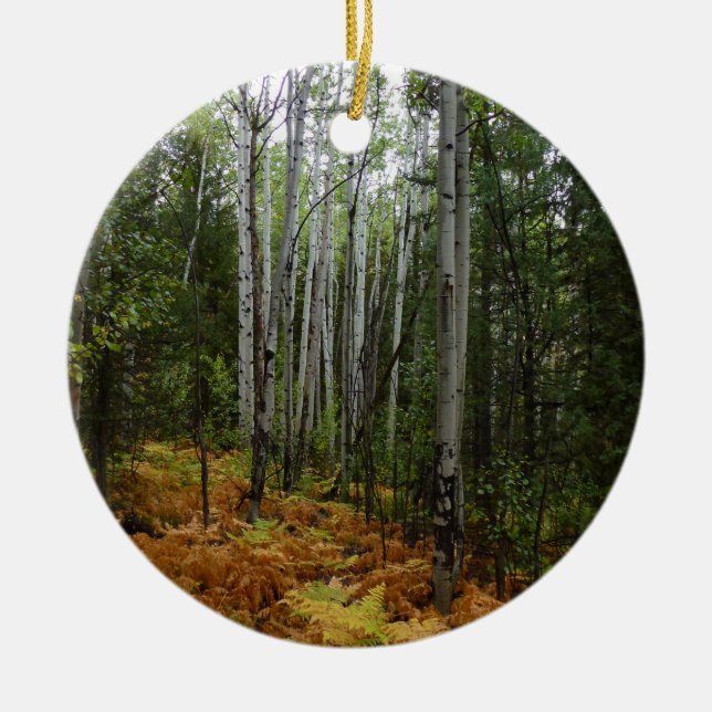 Weiße Birkenbäume und Herbst-Fernen am Rocky Mount Keramik Ornament (Vorne)