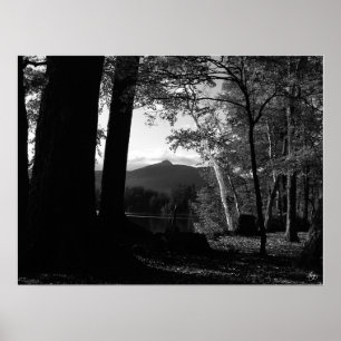 Weiße Birne in einem Chocorua-Sonnenuntergang-Post Poster