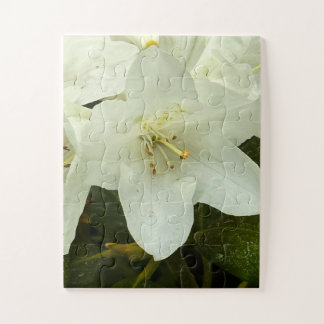 Weiße Blume