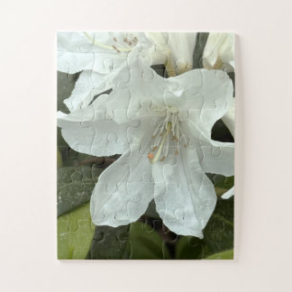Weiße Blume