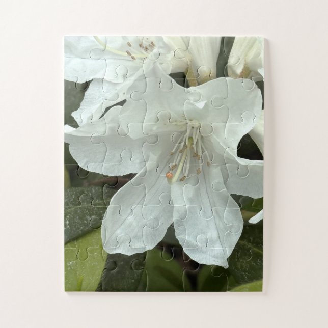 Weiße Blume (Vertikal)