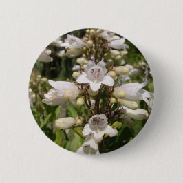 Weiße Blume Button