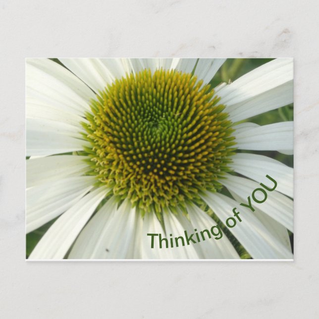 Weiße Blume Denken Sie an Sie Postkarte (Vorderseite)