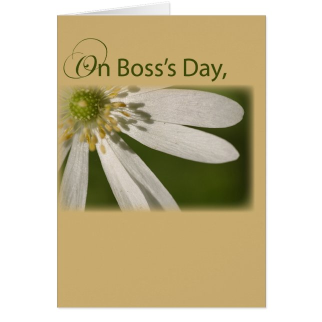 Weiße Blume des Boss-Tages (Vorne)
