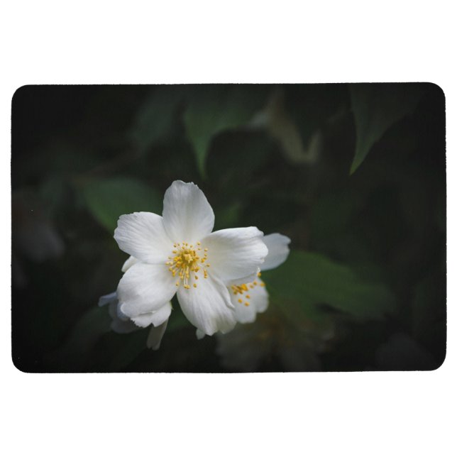 Weiße Blume des Jasmins (Philadelphus) Bodenmatte (Vorderseite)