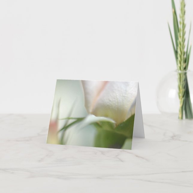 Weiße Blume geklappte Grußkarte Karte (Vorderseite)
