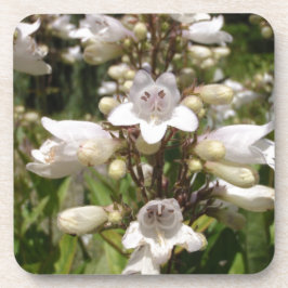 Weiße Blume Getränkeuntersetzer