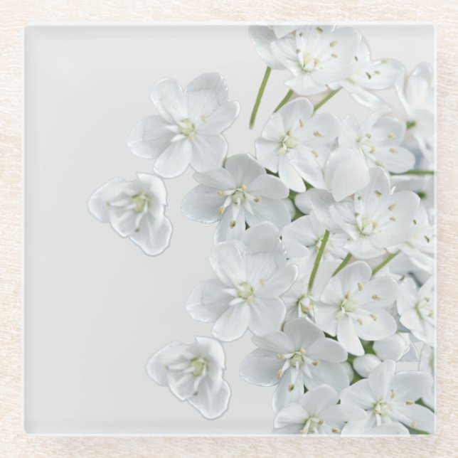 Weiße Blume Glasuntersetzer (Vorderseite)