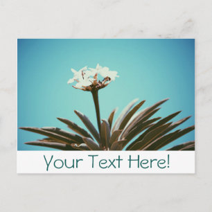 Weiße Blume Grüne Pflanze Stylische Postkarte