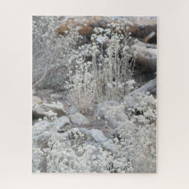 Weiße Blume im Wald