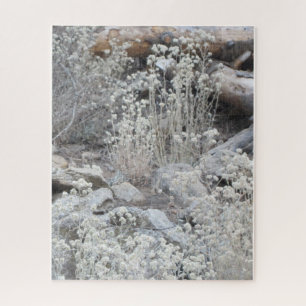Weiße Blume im Wald