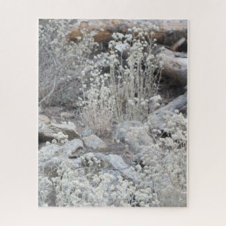 Weiße Blume im Wald