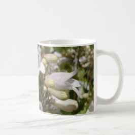 Weiße Blume Kaffeetasse