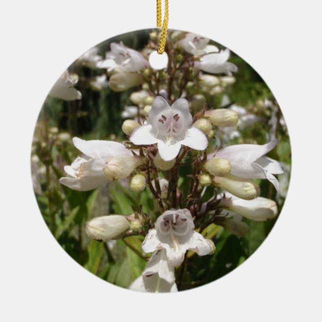Weiße Blume Keramik Ornament (Vorne)