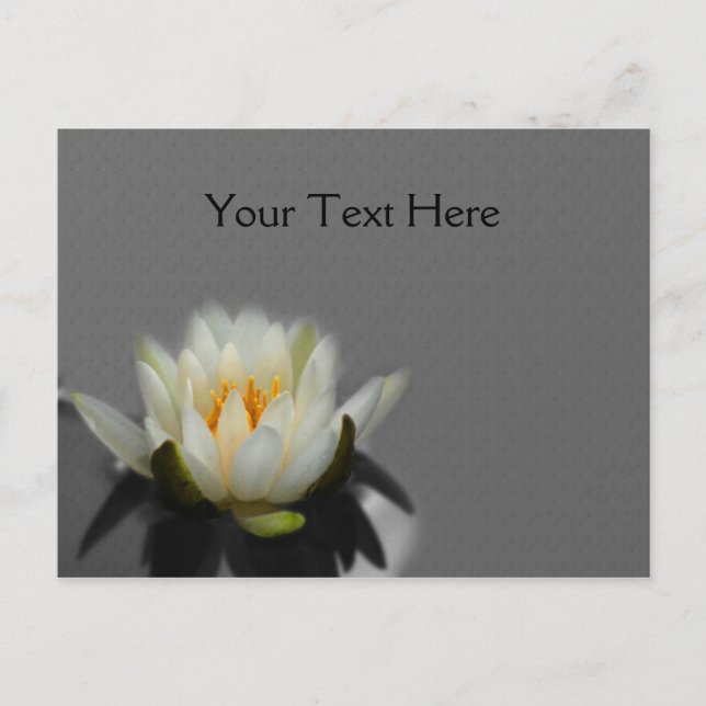 Weiße Blume Lotus Wasserlilie Postkarte (Vorderseite)