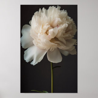 Weiße Blume mit grünen Blätter auf dunklem Hinterg Poster