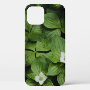 WEISSE BLUME MIT GRÜNEN BLÄTTER Case-Mate iPhone HÜLLE