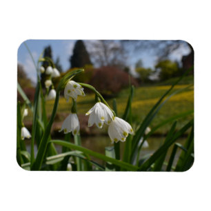 Weiße Blume mit Landschaftsgärten im Hintergrund Magnet