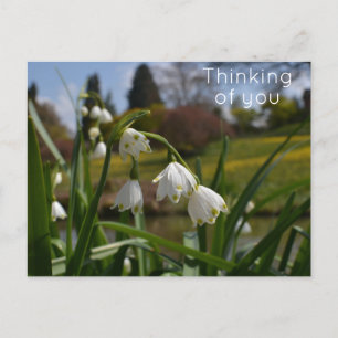 Weiße Blume mit Landschaftsgärten im Hintergrund Postkarte