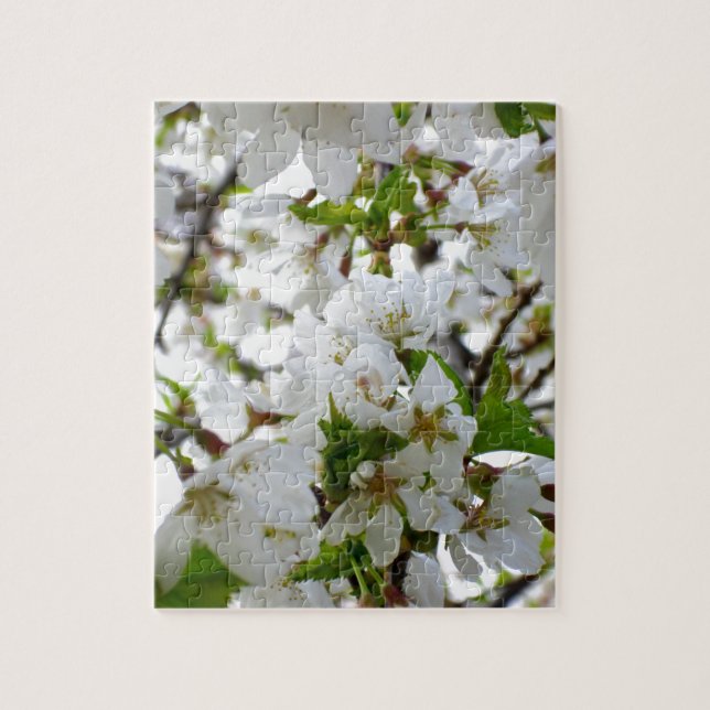 Weiße Blume mit weißem Blossom und weißen Blumen (Vertikal)