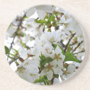 Weiße Blume mit weißem Blossom und weißen Blumen Sandstein Untersetzer