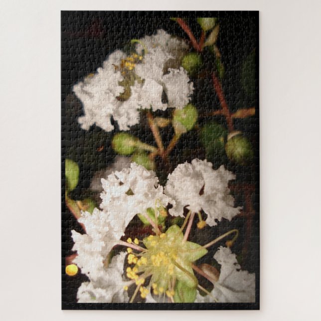 Weiße Blume Moderne Pflanze Naturfotografie Kunst (Vertikal)