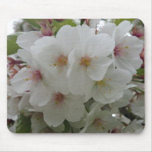 Weiße Blume Mousepad