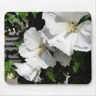 weiße Blume Mousepad