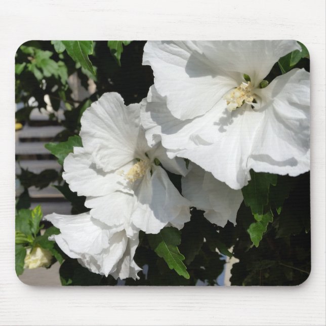 weiße Blume Mousepad (Vorne)