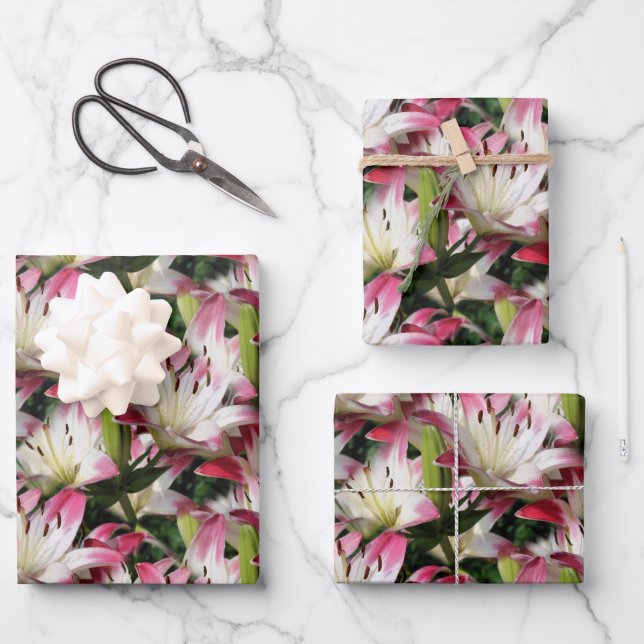 Weiße Blume Muster Natur Geschenkpapier Set (Vorderseite)
