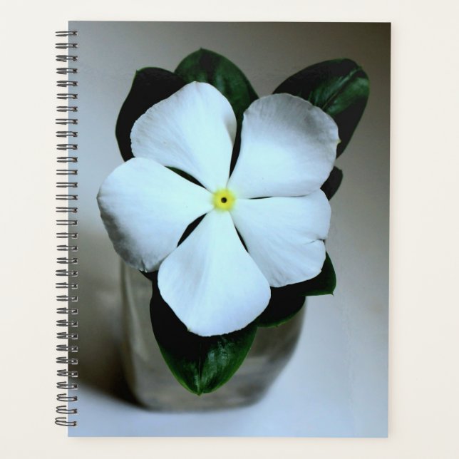 Weiße Blume Planer (Vorderseite)