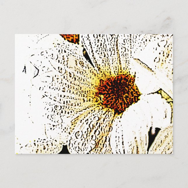 Weiße Blume Postkarte (Vorderseite)