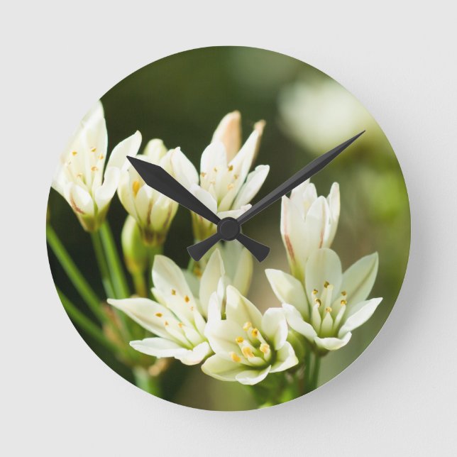 Weiße Blume Runde Wanduhr (Vorderseite)
