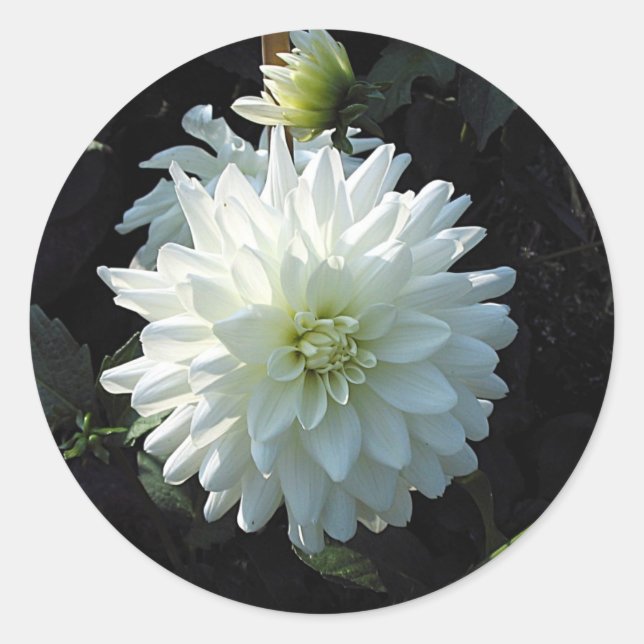 Weiße Blume Runder Aufkleber (Vorderseite)