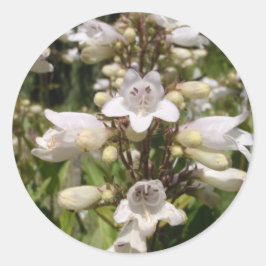 Weiße Blume Runder Aufkleber