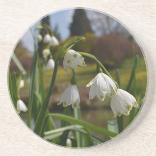 Weiße Blume Schneerauben mit Landschaftsgärten Getränkeuntersetzer