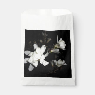 Weiße Blume Schwarzer Hintergrund Jasmine Blume Mo Geschenktütchen