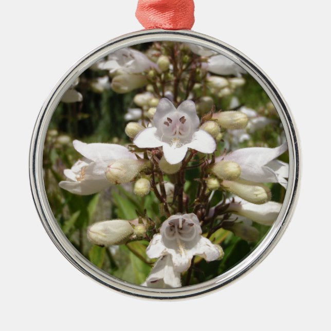 Weiße Blume Silbernes Ornament (Vorne)