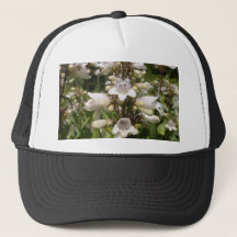 Weiße Blume